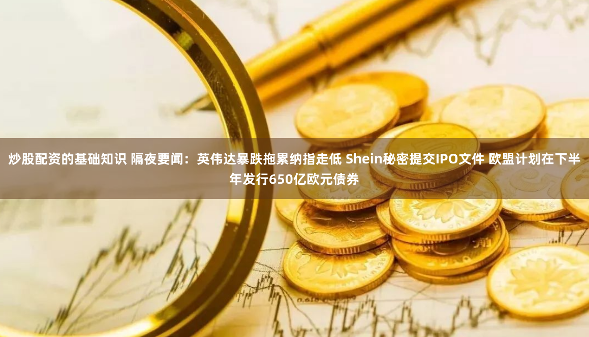炒股配资的基础知识 隔夜要闻：英伟达暴跌拖累纳指走低 Shein秘密提交IPO文件 欧盟计划在下半年发行650亿欧元债券
