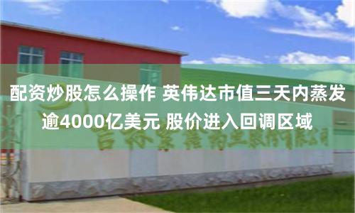 配资炒股怎么操作 英伟达市值三天内蒸发逾4000亿美元 股价进入回调区域